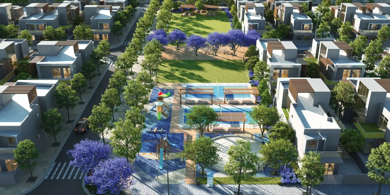 Jacaranda Vista